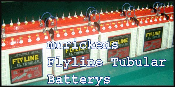 Flyline Tubular Battery